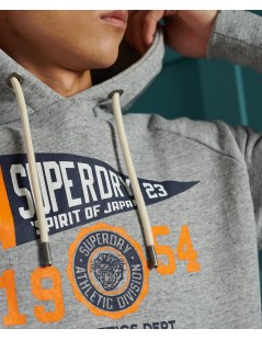 SUDADERA CON CAPUCHA GRIS SUPERDRY 